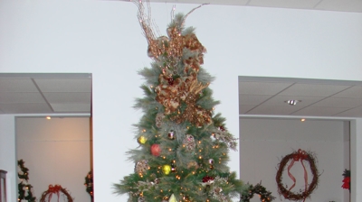 2006 Festival of Trees Photo