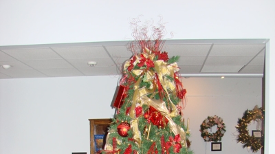 2006 Festival of Trees Photo