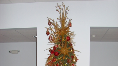 2006 Festival of Trees Photo