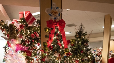 2019 Festival of Trees Photo