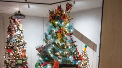 2019 Festival of Trees Photo