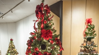 2019 Festival of Trees Photo