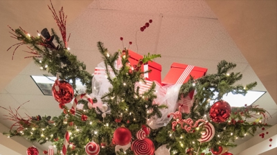 2019 Festival of Trees
