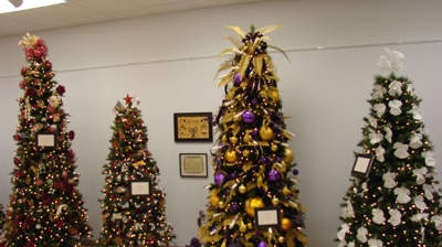 Festival of Trees Photo