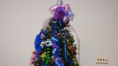 Festival of Trees Photo