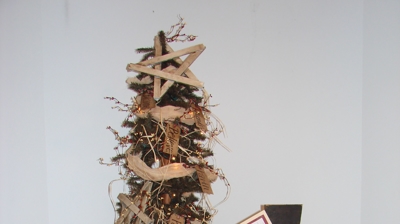 Festival of Trees Photo