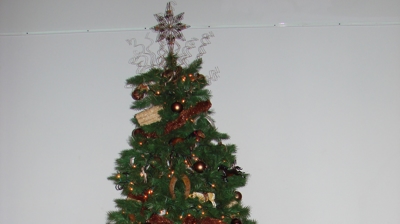 Festival of Trees Photo