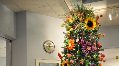 Festival of Trees Photo